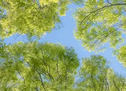 莱万多夫斯基赛程全在这冲上热搜(莱万多夫斯基9分钟5球是哪场比赛)|多宝真人入口